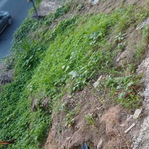 MORADORES DENUNCIAM RISCO DE DESLIZAMENTO E COBRAM PROVIDÊNCIAS NA AVENIDA ELMO SEREJO DE FARIAS